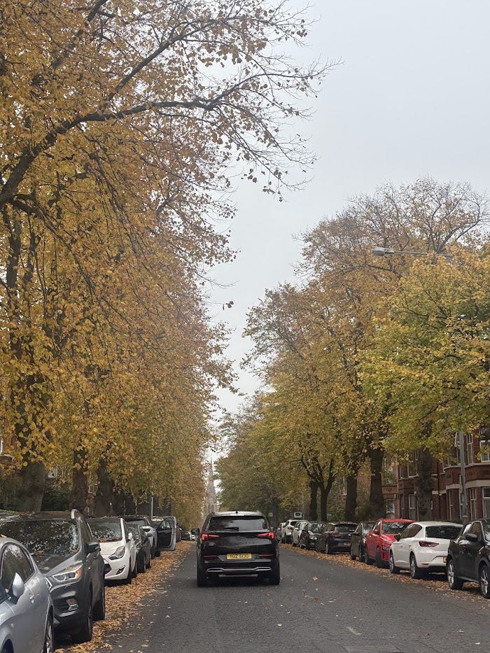 photo that isn't loading